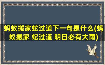 蚂蚁搬家蛇过道下一句是什么(蚂蚁搬家 蛇过道 明日必有大雨)